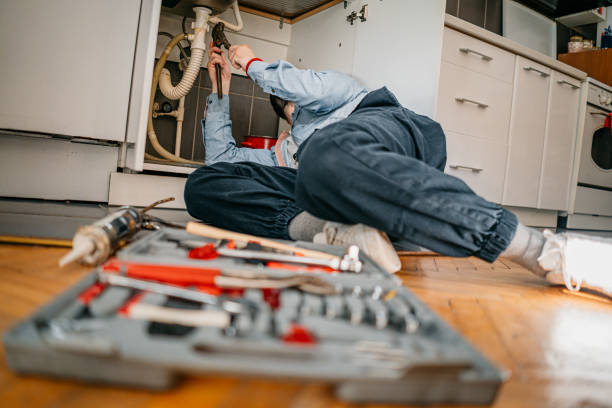 Best Plumbing Inspection Services  in Boles Acres, NM